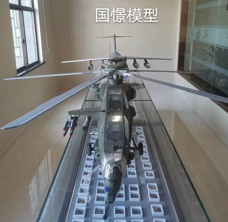 务川飞机模型